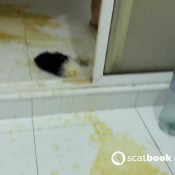 Elle_clark26 Diarrhea Explosive Elle Clark