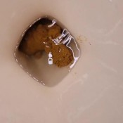 Kittyskatt Four Huge Logs Secret Toilet Pov Kitty Klitt