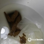 Plenty Of Turds Classy N Gassy ClassyNgassy