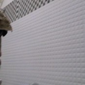 Kittyskatt Ashram Sink Poop Orgasm Kitty Klitt