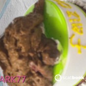 Elle_clark26 Happy Birthday To Me Elle Clark