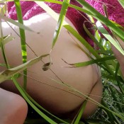 Freyadoesnotexist666 Shitting In Public