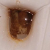 Kittyskatt 3 Weird Shits Toilet Pov 11 Kitty Klitt