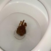 My Boobs With My Poop Alicetop