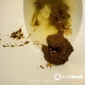 Seedy Sticky Shit Pulsifer Paprocki