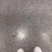 Deep_impact Walmart Pee