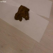 Shit Teases My Pussy Alicetop