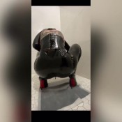 Mistress Damazonia Latex Ftt Pov