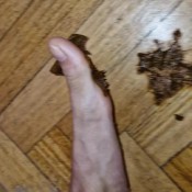 Florathecat My Feet And My Poop