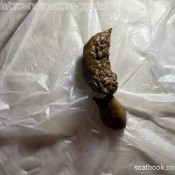 Brownsensations Masturbating And Shitting 2