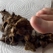 Alicetop A Small Piece Of Poop Came Out