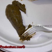 Haley Rose Feeding Slave My Digested Shitty Corn