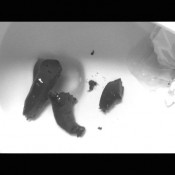 Joy Angeles November2011ladiesroom