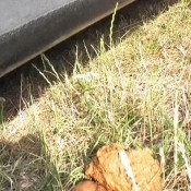 Joy Angeles August2010skye3