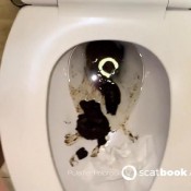 big dark and desperate pulsiferpaprocki