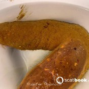 one morning, two poops 1 giant, 1 runny pulsiferpaprocki