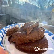 Pulsiferpaprocki Steamy New Years Shit 2025 Pulsifer Paprocki