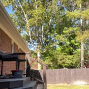 Madiemarss Poop Outside Madie Marss