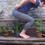 Poopyprincesspixi Kitty Cat Takes A Poo Outside