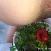 Poopyprincesspixi Pretty Smelling Flower