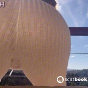 Carifetish The Nature For You