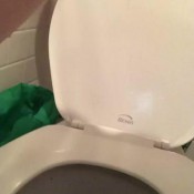 Horny_hippie_ Huge Dirty Log With Creamy Grool Hannah Hunt