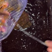 Tallgoddessxo Asshole Big Tits Feet Fetish Food Fetish Hairy Pussy Kitchen