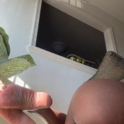 Yourgoddesskree Just What U Love To See Goddess Kree