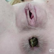 Sammiecee Close Up Sammie Cee