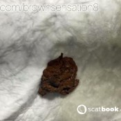 Brownsensation8 Poop 10 Brownsensations