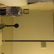 Thunda White Shorts Thunda859