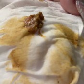 Niquenasty Morning Poop 8524 1155am