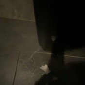 Brownsensation8 Unexpected Diarrhea At The Sushi Bar Brownsensations