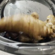 Rubberfindom Dont Forget To Take Your Lunch Carmen Cruz