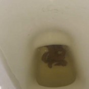 Gassylaszy Is It The Flu