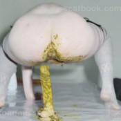 Misspoop Anal Ripping