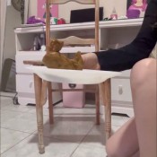 Itsfoxie Sentada En Una Silla