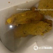 Reignzplayhouse Mexican Aftermath I Had Mexican Food For Dinner Last Night And It Ran Right Through Me You Can See All The Corn And Peppers In My Shit Its So Colorful Goddess Reign