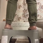 Imscatbitch_ Squatty Potty