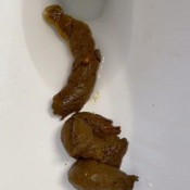 Iamkapri Long Quick Shit Makes My Bootyhole Feel Good Kapri Styles