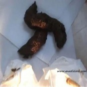 Ana Didovic Beer Boots Droppings