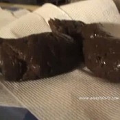 Ana Didovic Hard Turd