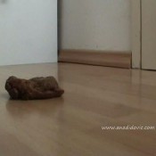 Ana Didovic Ana In Her White Trousers Makes A Dark Frien