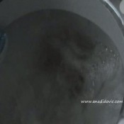 Ana Didovic Piss And Dump