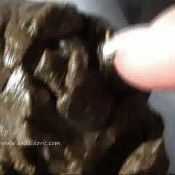 Ana Didovic Fat Turd