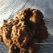 Ana Didovic Nice Poo On The Table