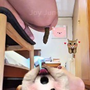 Joyforu Shit Slave Eating Me Twice Joy June