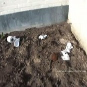 Ana Didovic Dump In The Garden