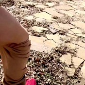 Pulsiferpaprocki Surprised By Squirts Pulsifer Paprocki