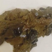 Elurasavage Big Messy Shower Load